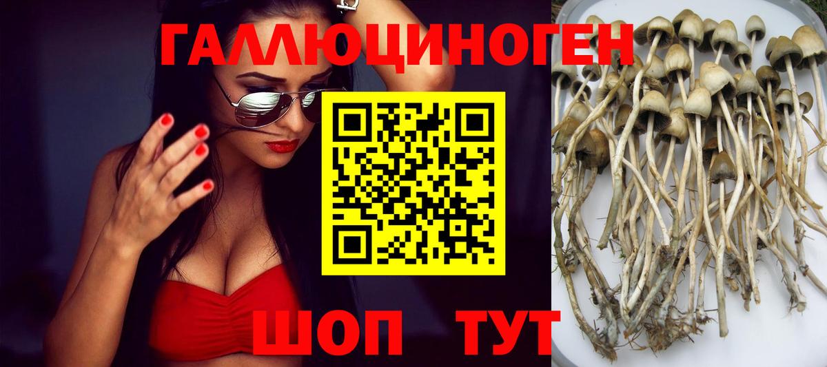 Псилоцибиновые грибы Magic Shrooms  Вход с VPN  Георгиевск 